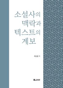 소설사의 맥락과 텍스트의 계보